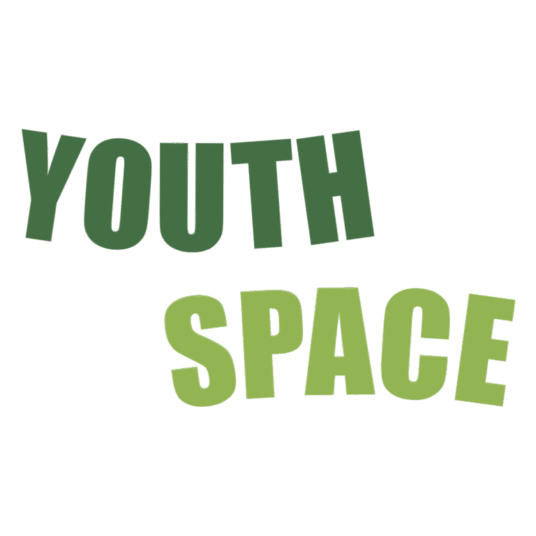 Logo of Youth Space partner